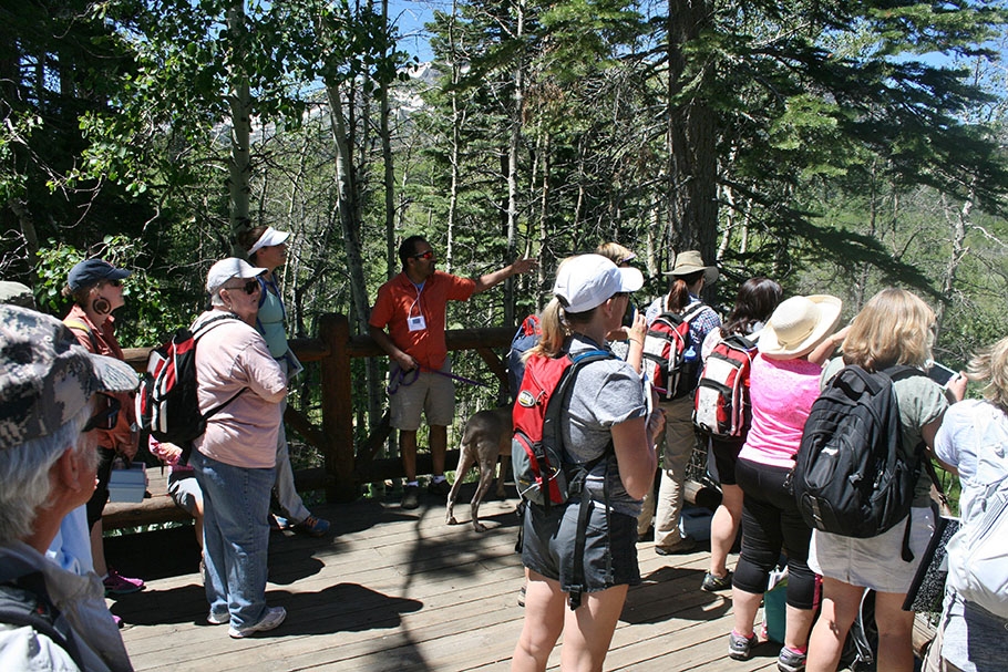 Members of the N.E.R.D.S. group look out from a wood balcony at Taylor Creek