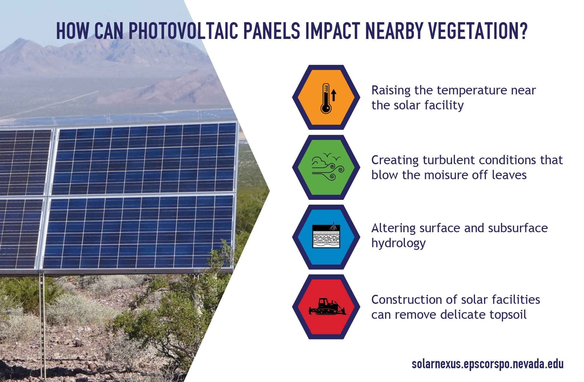 Infographic, Effeciency of Solar Panels