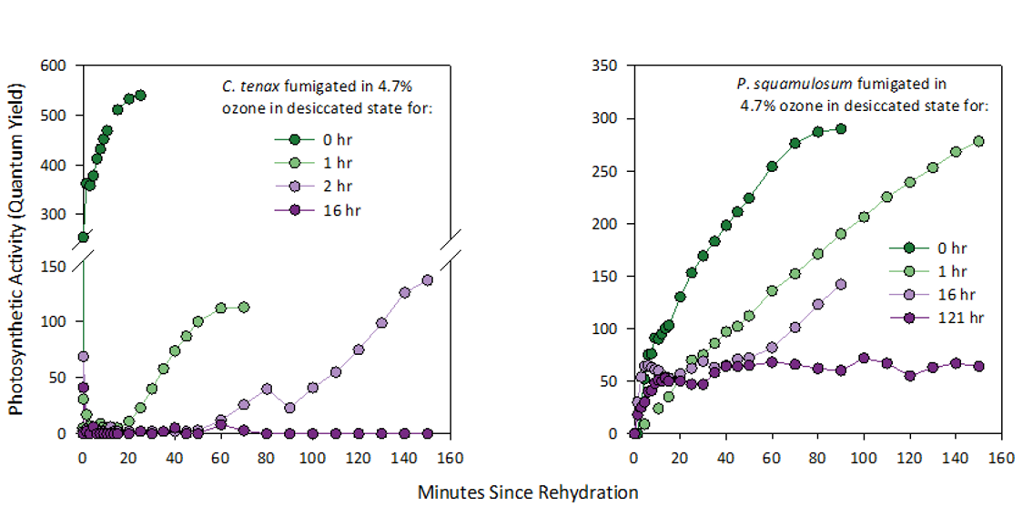 Charts demonstrating that reintroduced crusts vulnerable to oxidation