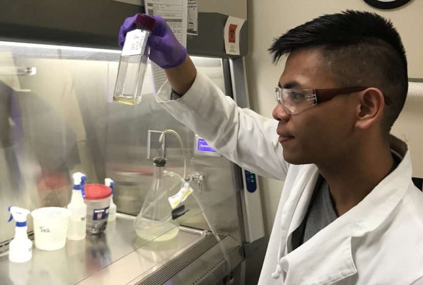 NSC scientist Jeremy Vergara examines solutions in lab.